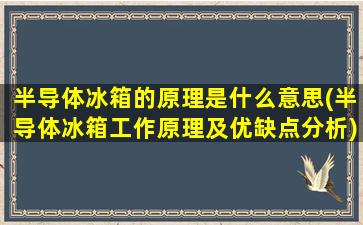 半导体冰箱的原理是什么意思(半导体冰箱工作原理及优缺点分析)