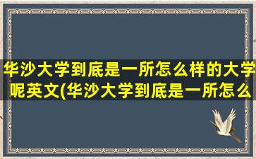 华沙大学到底是一所怎么样的大学呢英文(华沙大学到底是一所怎么样的大学呢知乎)