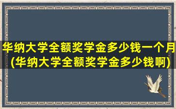 华纳大学全额奖学金多少钱一个月(华纳大学全额奖学金多少钱啊)