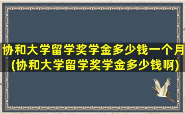 协和大学留学奖学金多少钱一个月(协和大学留学奖学金多少钱啊)