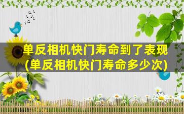 单反相机快门寿命到了表现(单反相机快门寿命多少次)