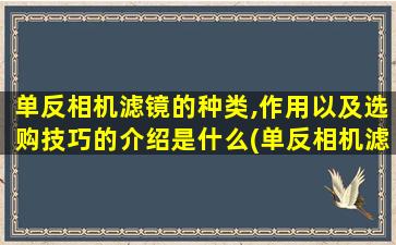 单反相机滤镜的种类,作用以及选购技巧的介绍是什么(单反相机滤镜种类和作用)