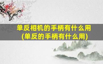 单反相机的手柄有什么用(单反的手柄有什么用)