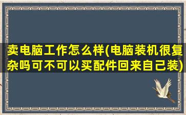 卖电脑工作怎么样(电脑装机很复杂吗可不可以买配件回来自己装)