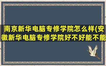 南京新华电脑专修学院怎么样(安徽新华电脑专修学院好不好能不能就业学费贵不贵)