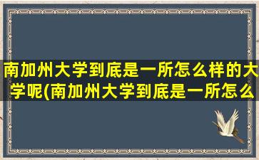 南加州大学到底是一所怎么样的大学呢(南加州大学到底是一所怎么样的大学呢英文)