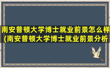 南安普顿大学博士就业前景怎么样(南安普顿大学博士就业前景分析)