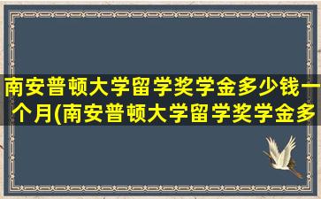 南安普顿大学留学奖学金多少钱一个月(南安普顿大学留学奖学金多少钱啊)