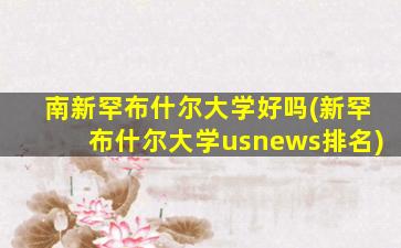 南新罕布什尔大学好吗(新罕布什尔大学usnews排名)