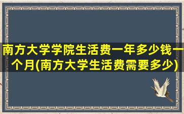 南方大学学院生活费一年多少钱一个月(南方大学生活费需要多少)