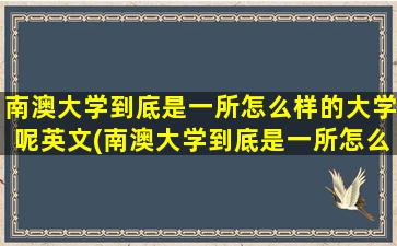 南澳大学到底是一所怎么样的大学呢英文(南澳大学到底是一所怎么样的大学呢知乎)