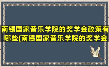 南锡国家音乐学院的奖学金政策有哪些(南锡国家音乐学院的奖学金政策怎么样)