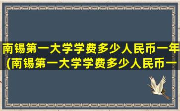 南锡第一大学学费多少人民币一年(南锡第一大学学费多少人民币一个月)