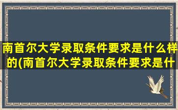 南首尔大学录取条件要求是什么样的(南首尔大学录取条件要求是什么专业)