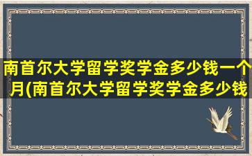 南首尔大学留学奖学金多少钱一个月(南首尔大学留学奖学金多少钱啊)