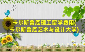 卡尔斯鲁厄理工留学费用(卡尔斯鲁厄艺术与设计大学)