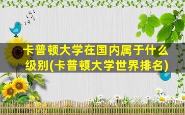 卡普顿大学在国内属于什么级别(卡普顿大学世界排名)