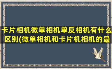 卡片相机微单相机单反相机有什么区别(微单相机和卡片机相机的最大区别)