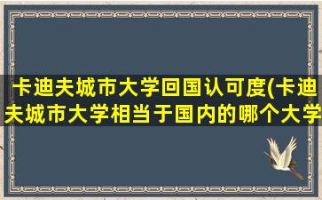 卡迪夫城市大学回国认可度(卡迪夫城市大学相当于国内的哪个大学)