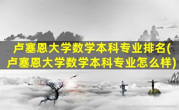 卢塞恩大学数学本科专业排名(卢塞恩大学数学本科专业怎么样)