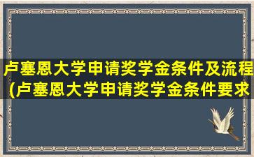 卢塞恩大学申请奖学金条件及流程(卢塞恩大学申请奖学金条件要求)