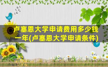 卢塞恩大学申请费用多少钱一年(卢塞恩大学申请条件)