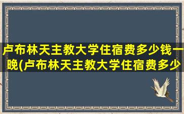 卢布林天主教大学住宿费多少钱一晚(卢布林天主教大学住宿费多少钱一年)