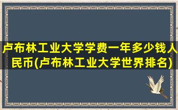 卢布林工业大学学费一年多少钱人民币(卢布林工业大学世界排名)