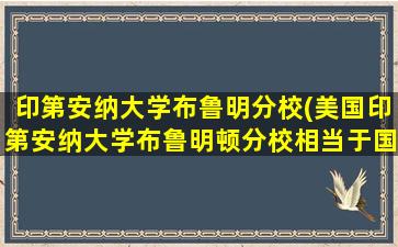 印第安纳大学布鲁明分校(美国印第安纳大学布鲁明顿分校相当于国内什么等级大学)