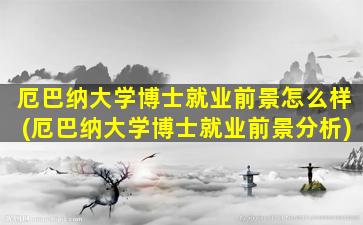 厄巴纳大学博士就业前景怎么样(厄巴纳大学博士就业前景分析)