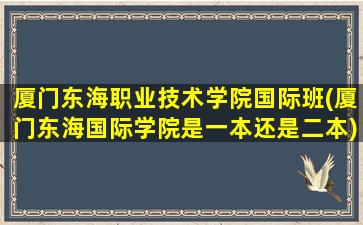 厦门东海职业技术学院国际班(厦门东海国际学院是一本还是二本)