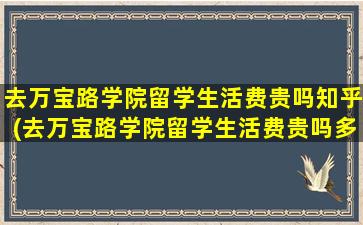 去万宝路学院留学生活费贵吗知乎(去万宝路学院留学生活费贵吗多少钱)