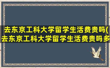 去东京工科大学留学生活费贵吗(去东京工科大学留学生活费贵吗多少钱)