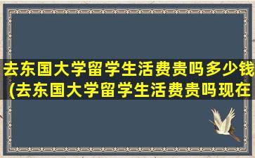 去东国大学留学生活费贵吗多少钱(去东国大学留学生活费贵吗现在)