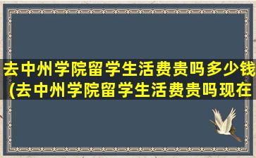 去中州学院留学生活费贵吗多少钱(去中州学院留学生活费贵吗现在)