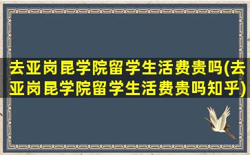 去亚岗昆学院留学生活费贵吗(去亚岗昆学院留学生活费贵吗知乎)