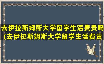 去伊拉斯姆斯大学留学生活费贵吗(去伊拉斯姆斯大学留学生活费贵吗多少钱)