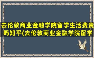 去伦敦商业金融学院留学生活费贵吗知乎(去伦敦商业金融学院留学生活费贵吗多少钱)