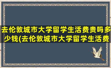 去伦敦城市大学留学生活费贵吗多少钱(去伦敦城市大学留学生活费贵吗)