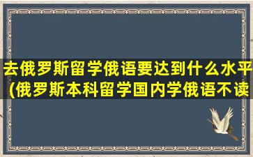 去俄罗斯留学俄语要达到什么水平(俄罗斯本科留学国内学俄语不读预科)