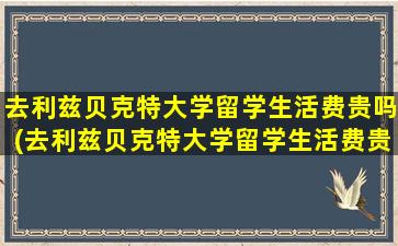 去利兹贝克特大学留学生活费贵吗(去利兹贝克特大学留学生活费贵吗多少钱)