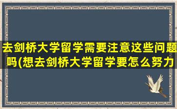 去剑桥大学留学需要注意这些问题吗(想去剑桥大学留学要怎么努力)