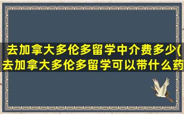 去加拿大多伦多留学中介费多少(去加拿大多伦多留学可以带什么药品)