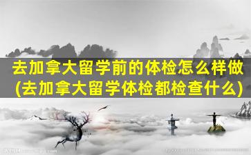 去加拿大留学前的体检怎么样做(去加拿大留学体检都检查什么)