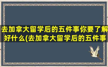 去加拿大留学后的五件事你要了解好什么(去加拿大留学后的五件事你要了解好哪些)