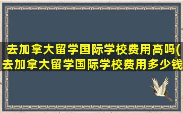 去加拿大留学国际学校费用高吗(去加拿大留学国际学校费用多少钱)