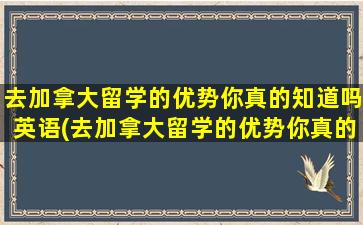 去加拿大留学的优势你真的知道吗英语(去加拿大留学的优势你真的知道吗英文翻译)