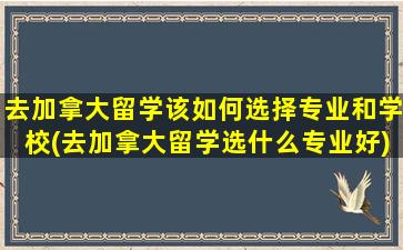 去加拿大留学该如何选择专业和学校(去加拿大留学选什么专业好)