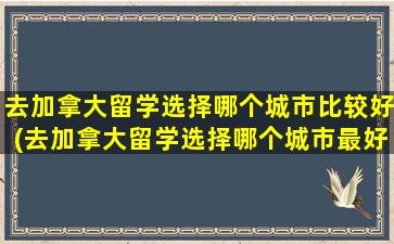 去加拿大留学选择哪个城市比较好(去加拿大留学选择哪个城市最好)