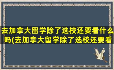 去加拿大留学除了选校还要看什么吗(去加拿大留学除了选校还要看什么学历)